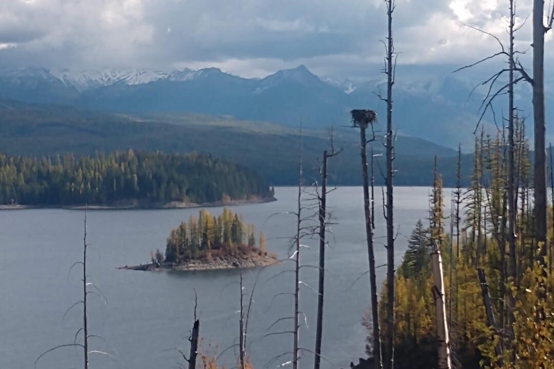 Photo of Others in Whitefish