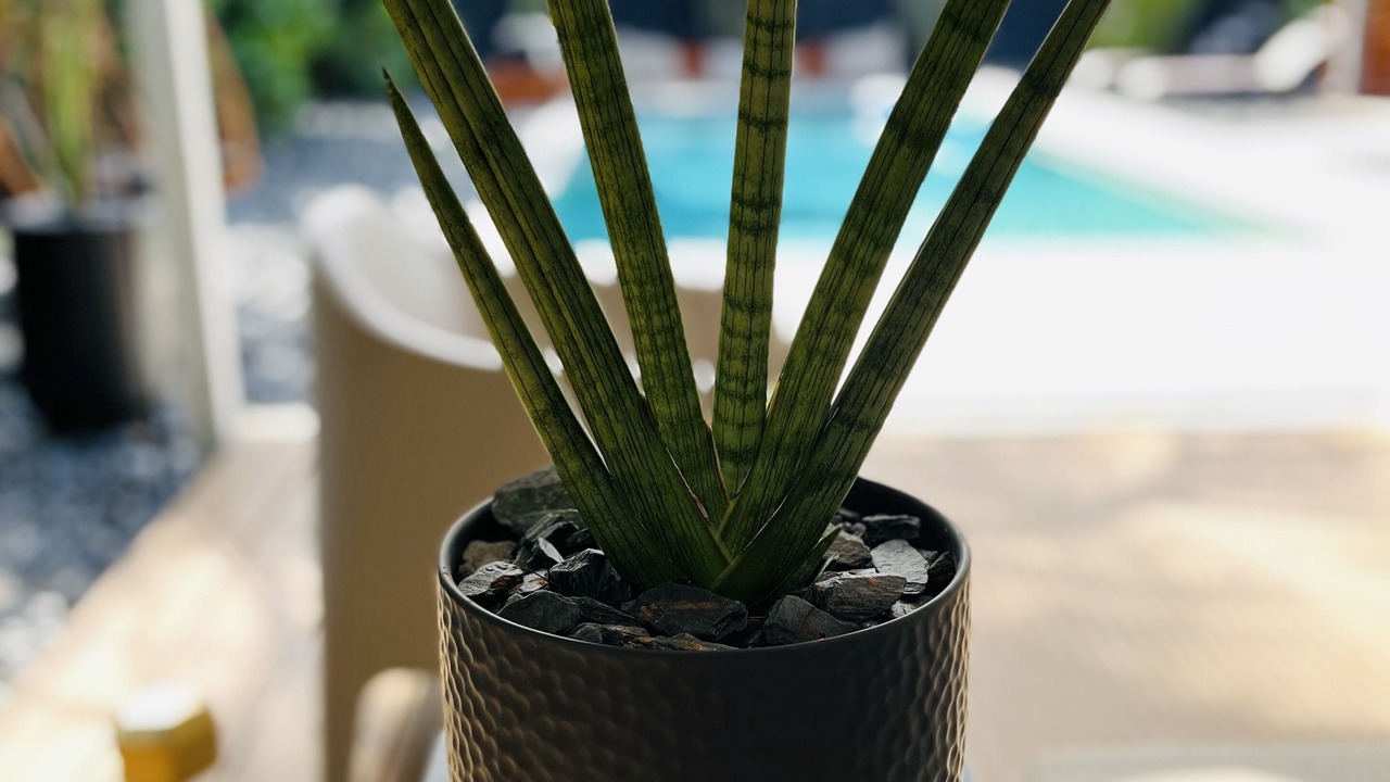 Photo of Outdoor in Coral Ridge Isles