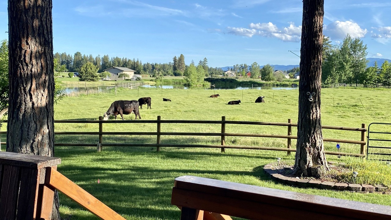 Photo of Others in Kalispell