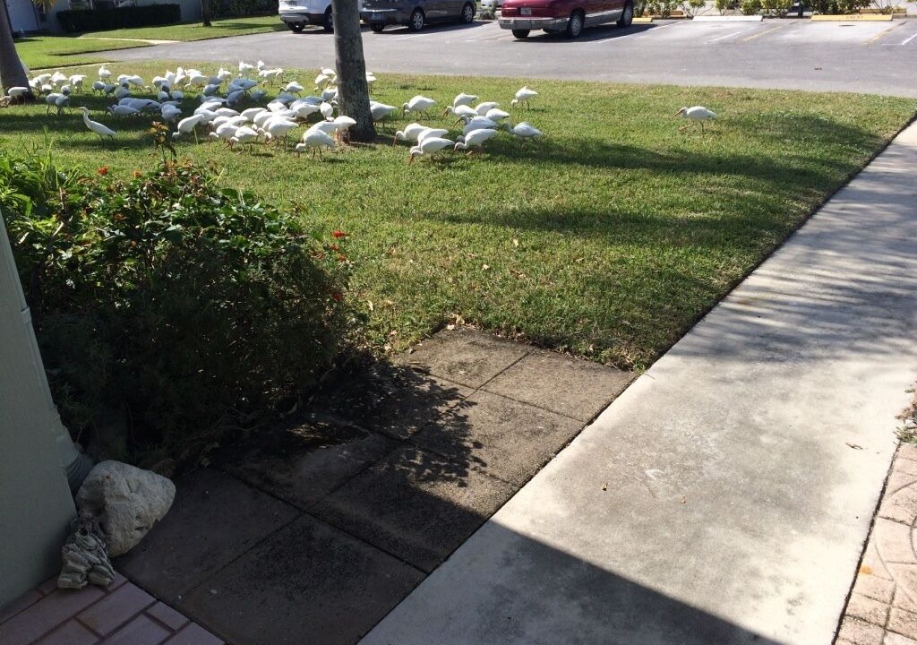 Photo of Others in Delray Beach