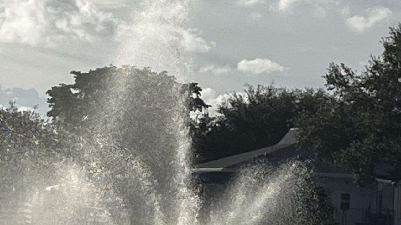 Photo of Others in Delray Beach