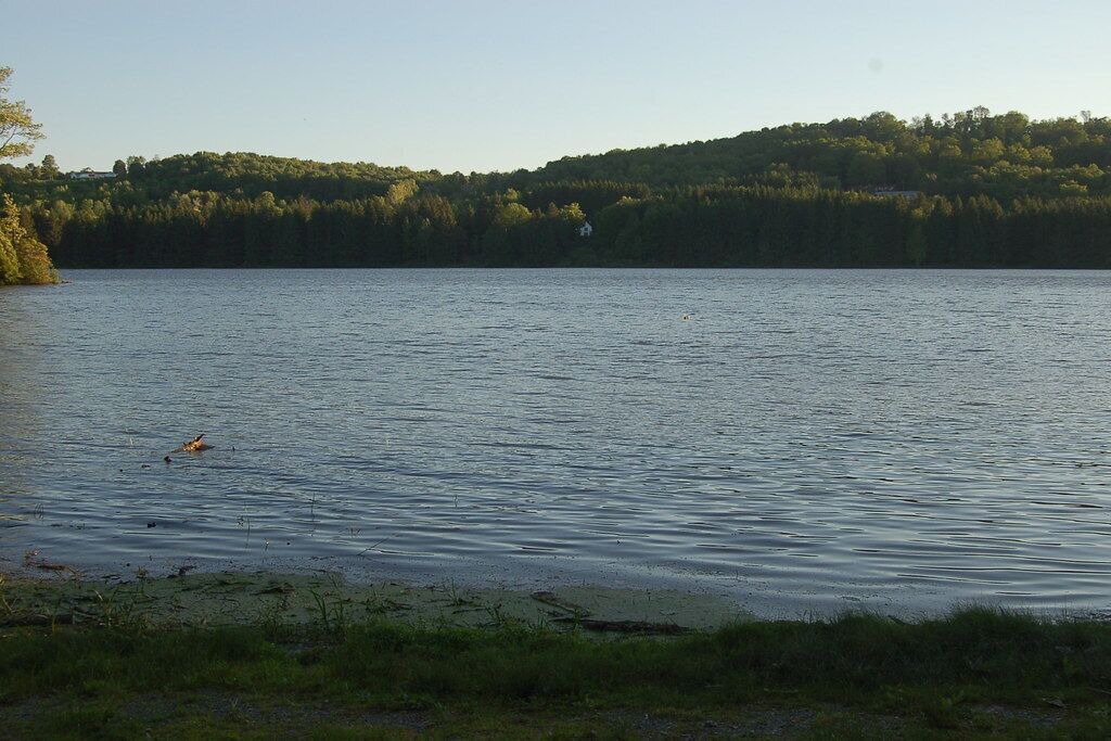 Photo of Others in Gouldsboro