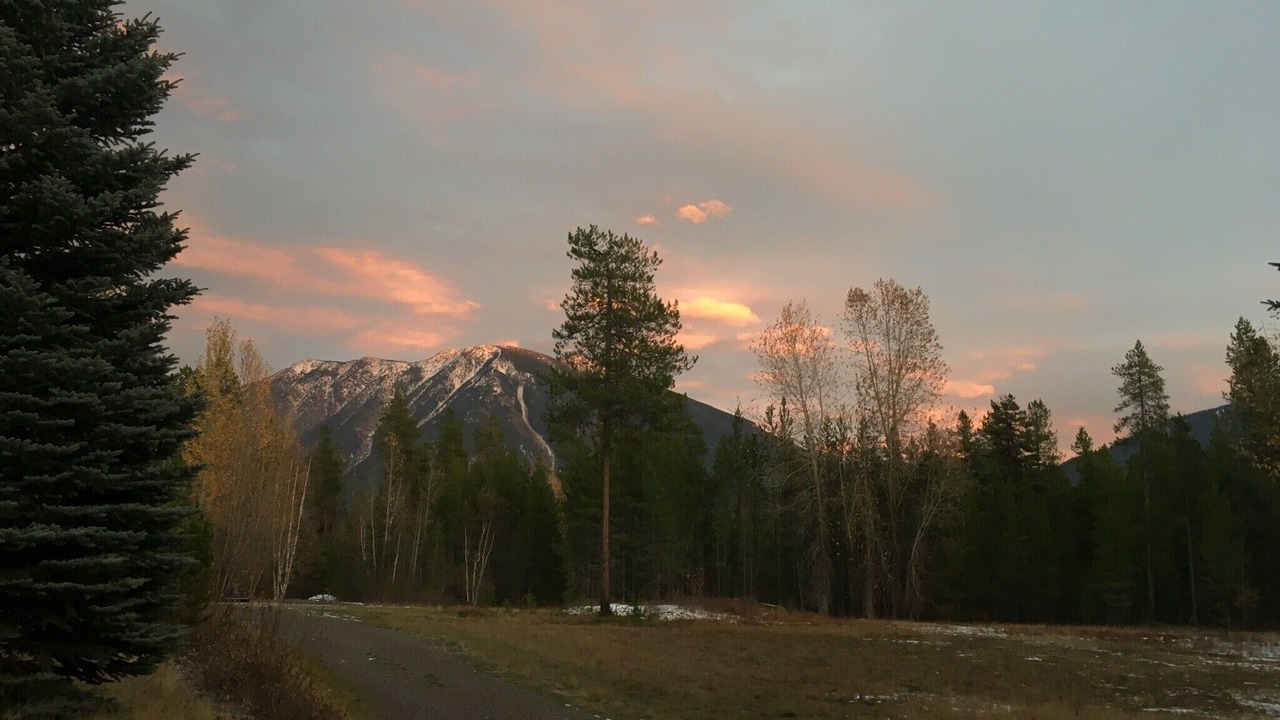 Photo of Others in West Glacier