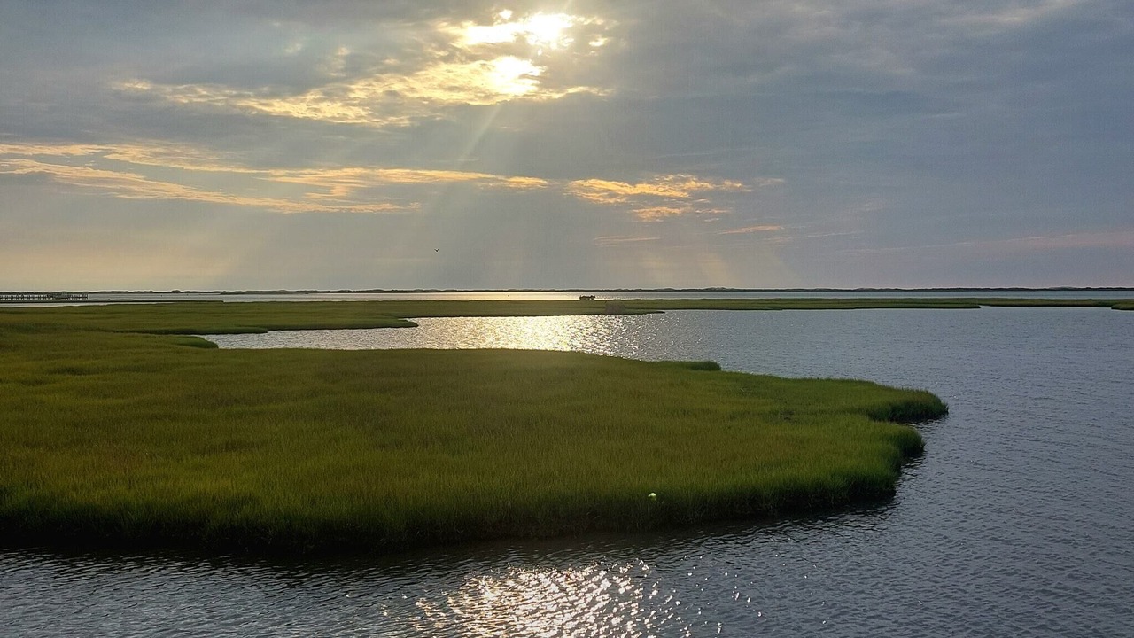 Photo of Others in Assateague Pointe