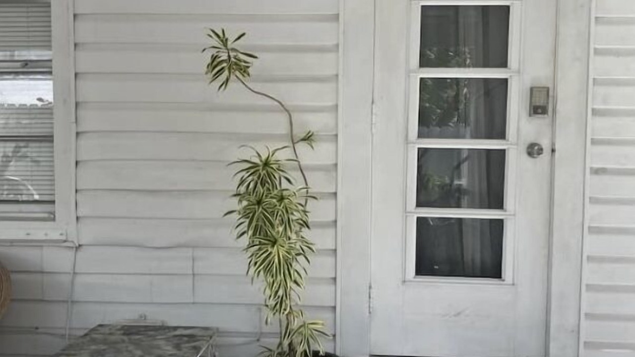 Photo of Others in Harbordale
