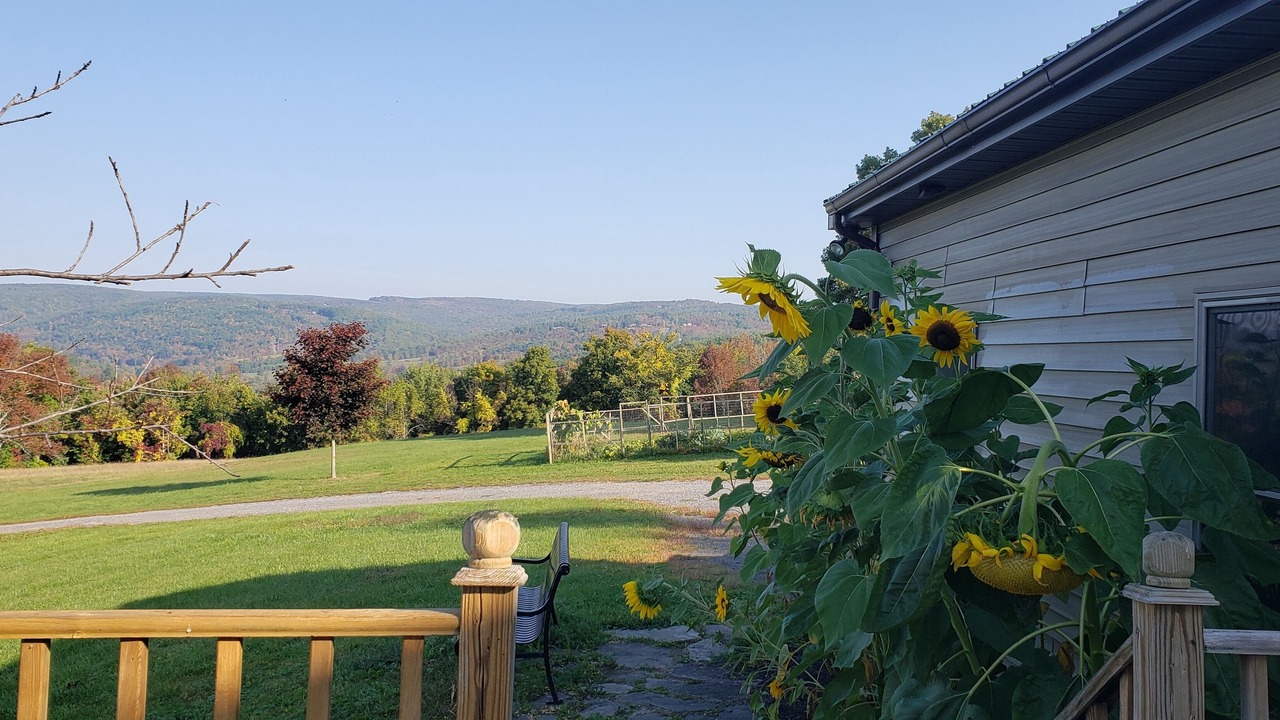 Photo of Outdoor in Oak Hill