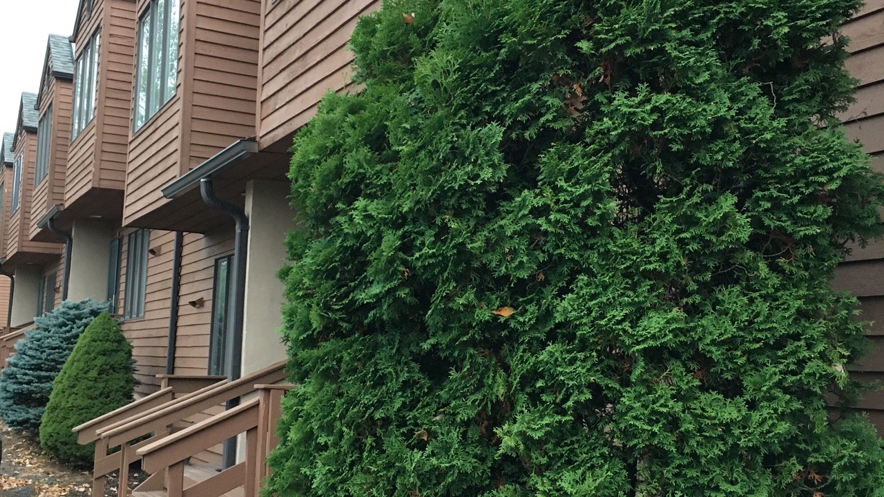 Photo of Outdoor in Windham