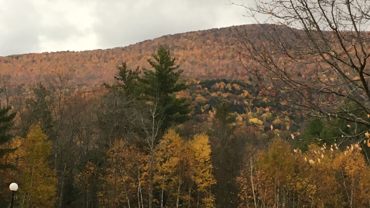 Photo of Outdoor in Windham