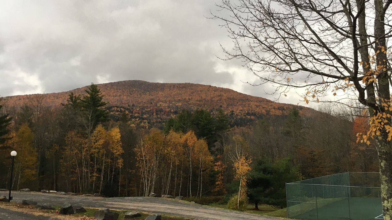 Photo of Others in Windham