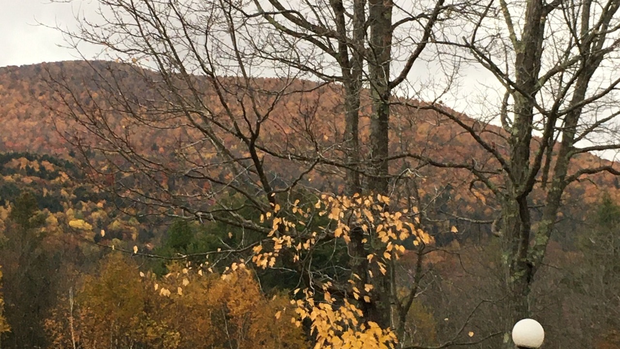 Photo of Others in Windham