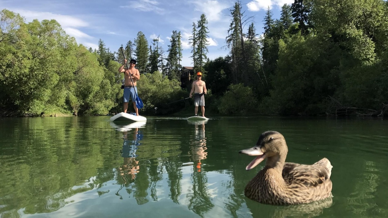 Photo of Others in Whitefish
