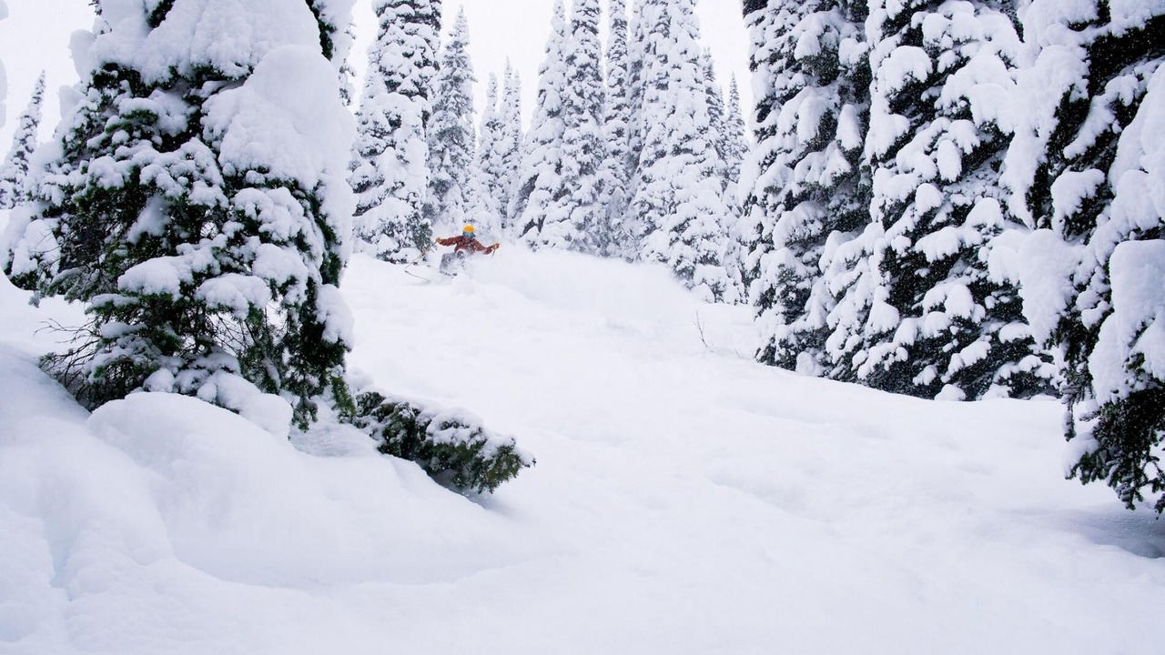 Photo of Others in Whitefish