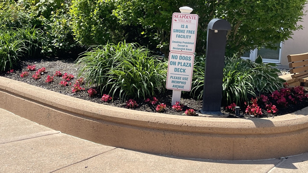 Photo of Outdoor in Diamond Beach