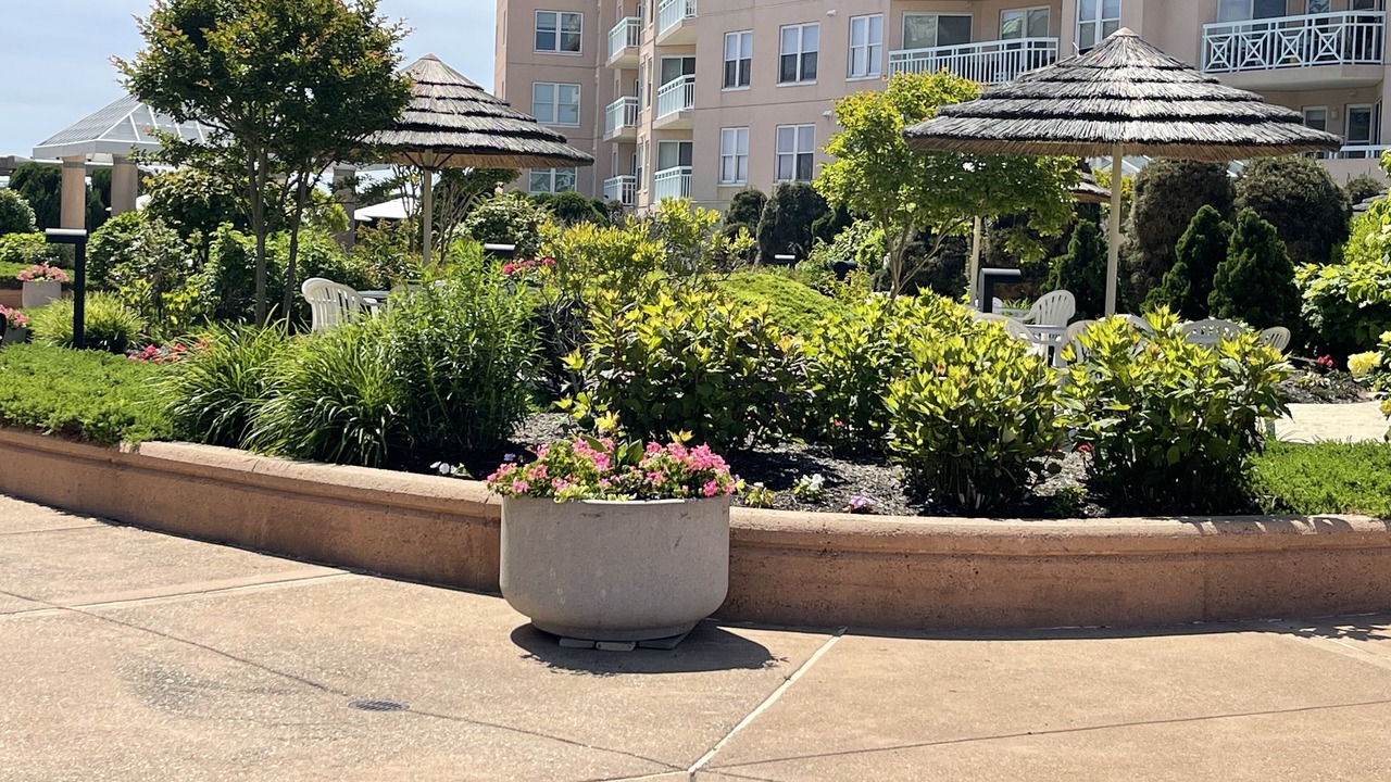 Photo of Outdoor in Diamond Beach
