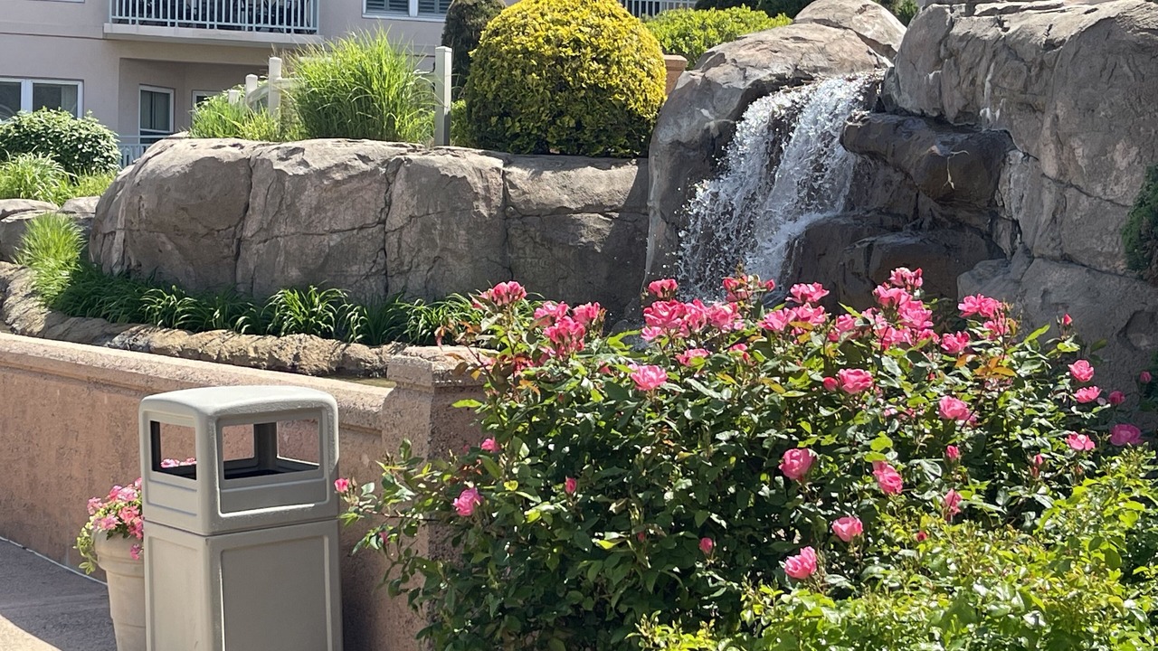 Photo of Outdoor in Diamond Beach