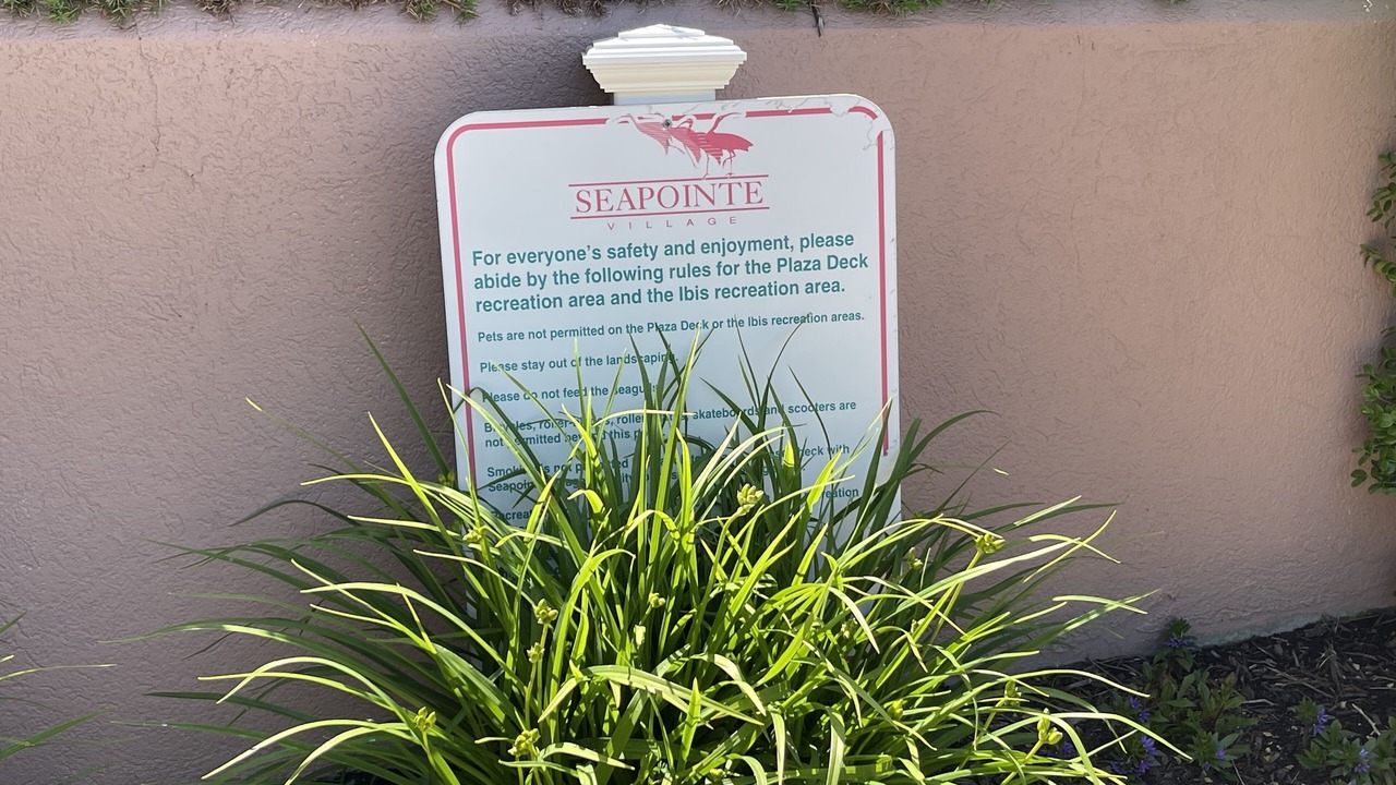 Photo of Outdoor in Diamond Beach