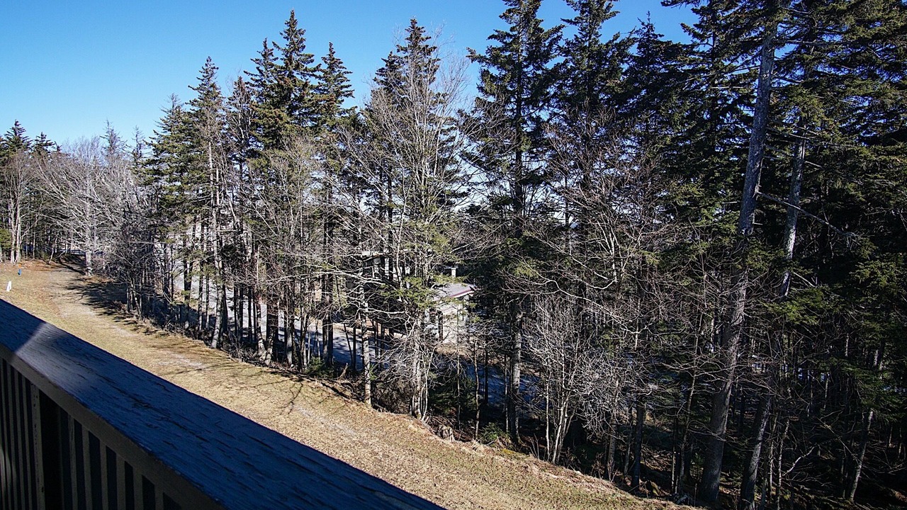 Photo of Outdoor in Edray