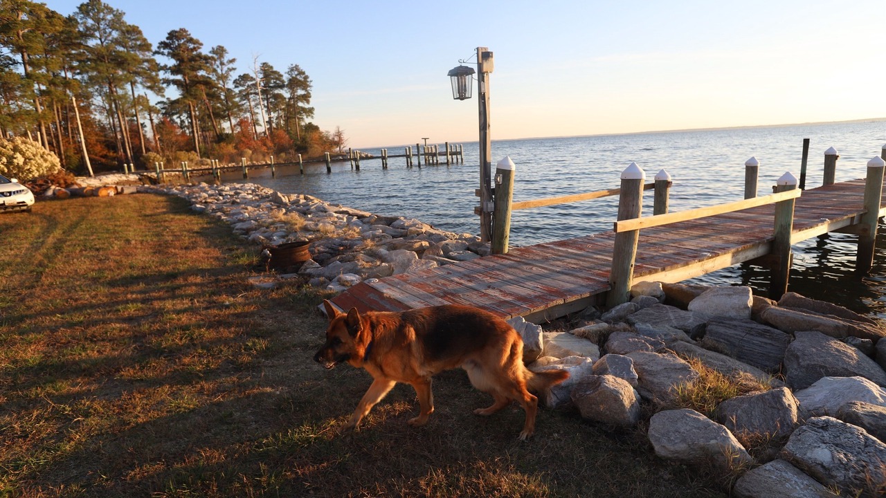 Photo of Outdoor in Piney Point