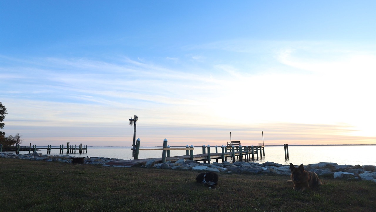 Photo of Others in Piney Point