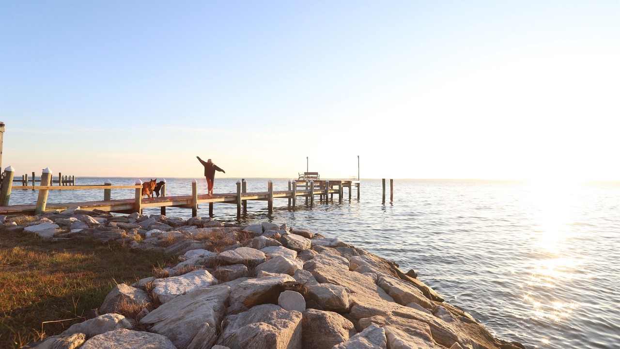 Photo of Outdoor in Piney Point
