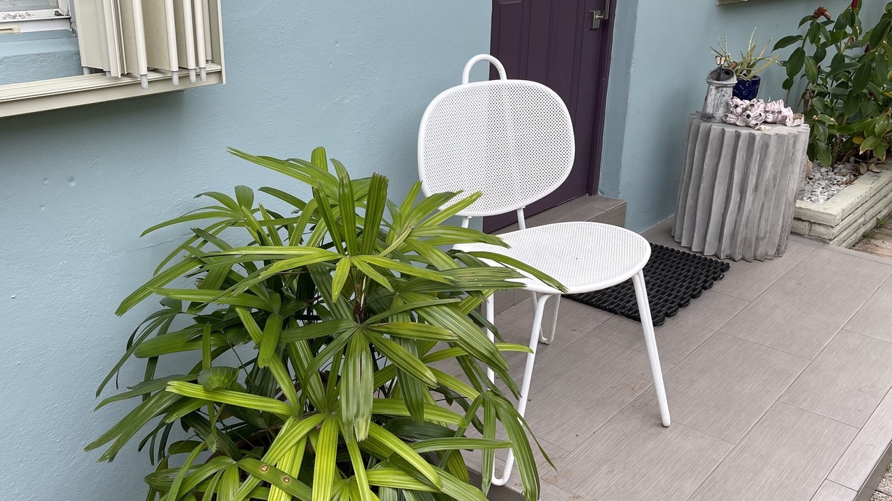 Photo of Outdoor in Royal Poinciana