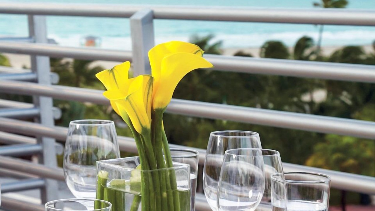 Photo of Patio Balcony in South Beach
