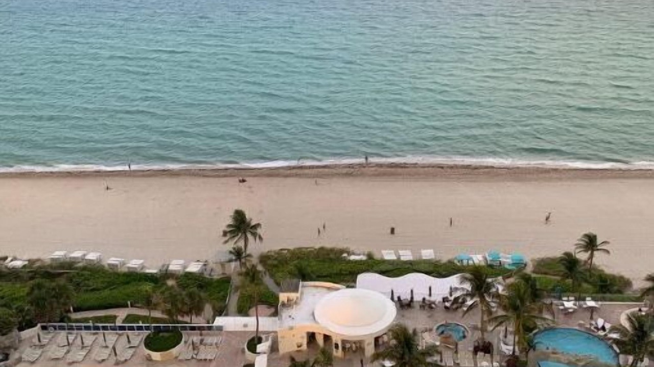 Photo of Others in Sunny Isles Beach