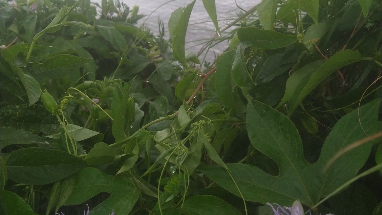 Photo of Outdoor in Kingsmill