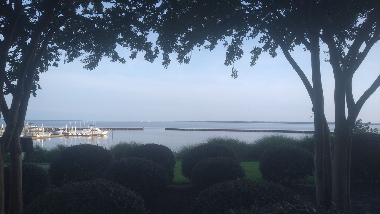 Photo of Others in Kingsmill