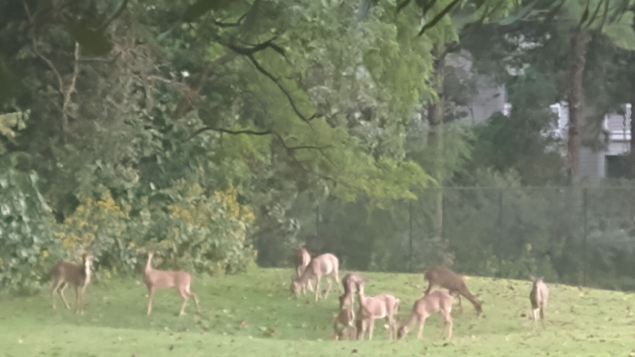 Photo of Others in Kingsmill