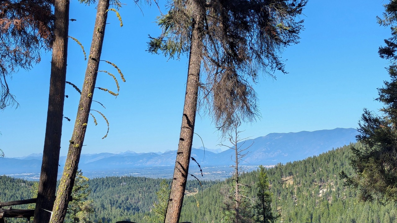 Photo of Others in Kalispell