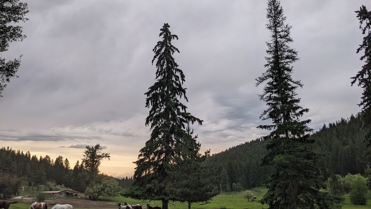 Photo of Others in Kalispell