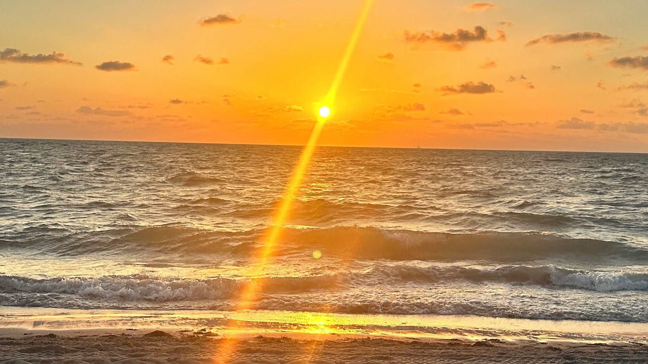 Photo of Others in Deerfield Beach
