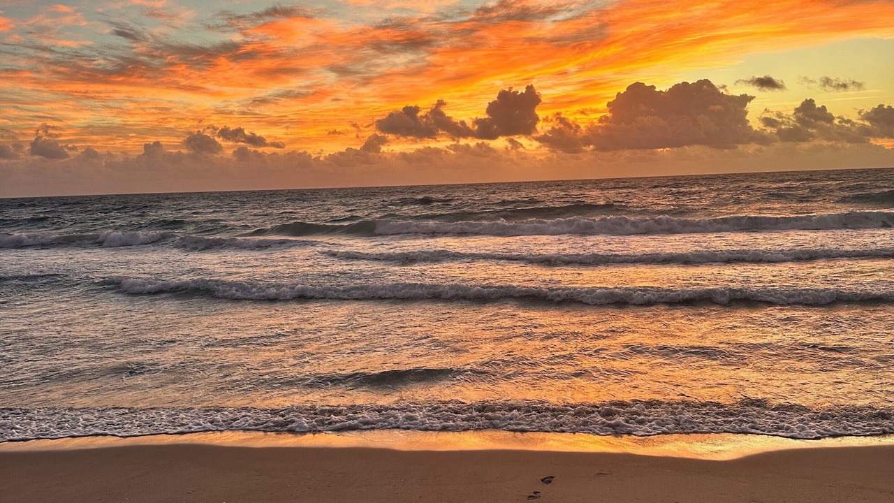 Photo of Others in Deerfield Beach