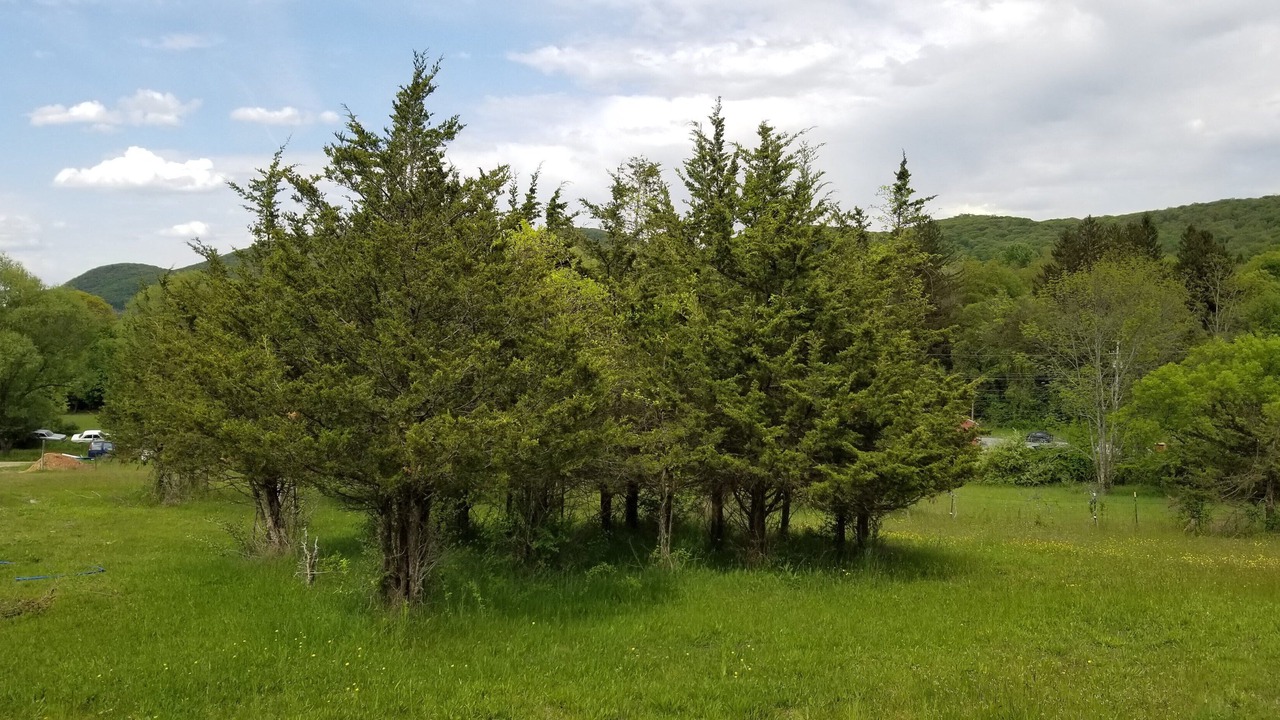 Photo of Others in Cold Spring