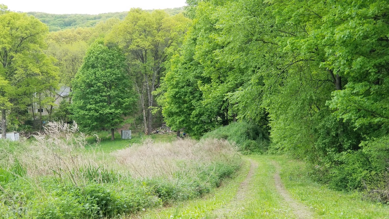 Photo of Others in Cold Spring