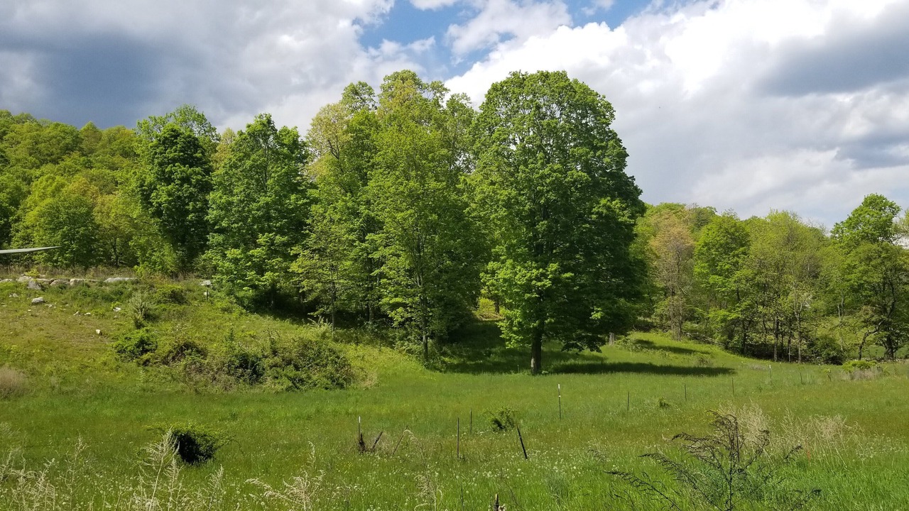 Photo of Others in Cold Spring