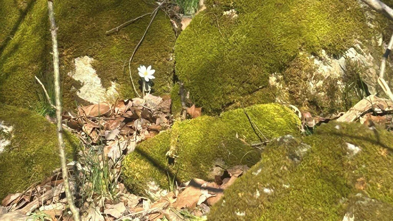 Photo of Outdoor in Strasburg