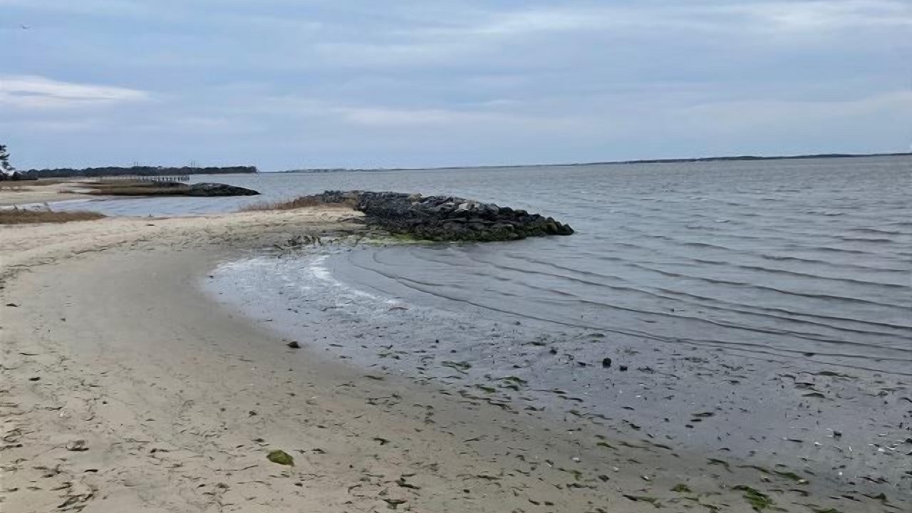Photo of Others in Rehoboth Beach