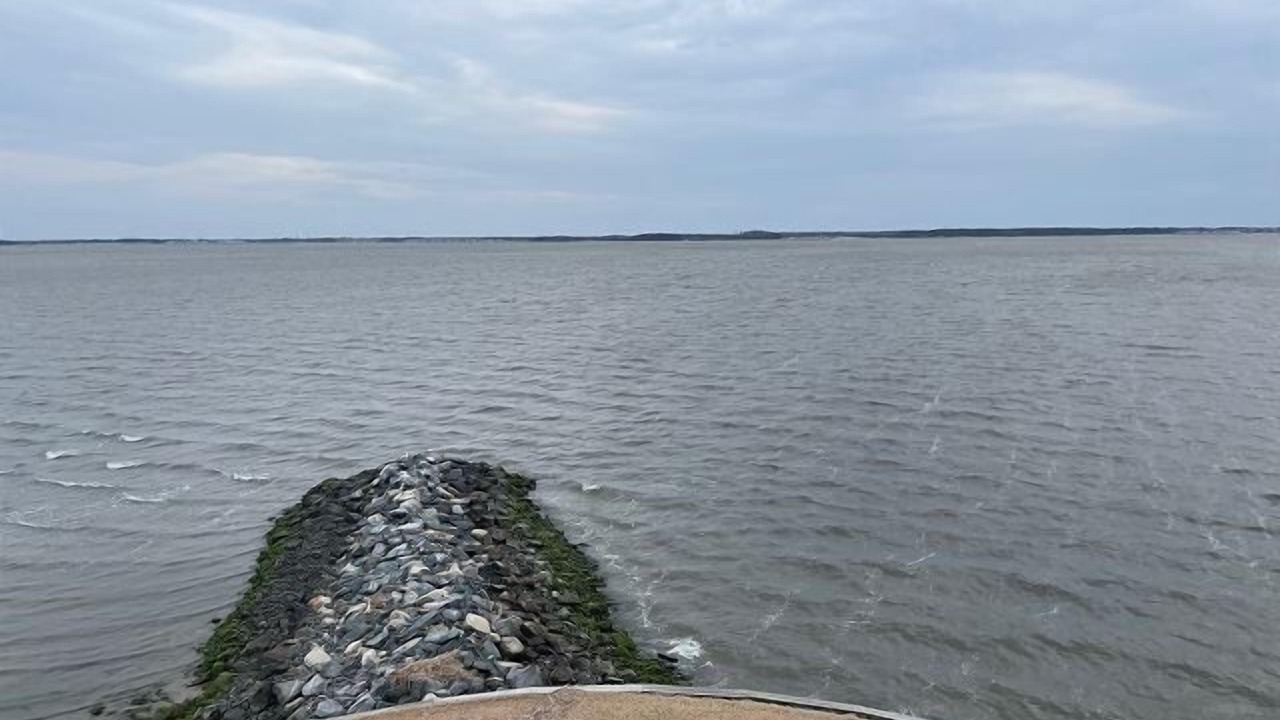 Photo of Others in Rehoboth Beach