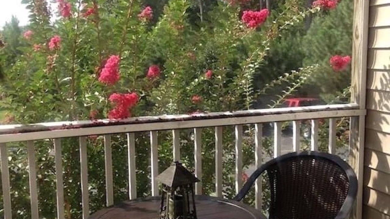 Photo of Outdoor in Rehoboth Beach