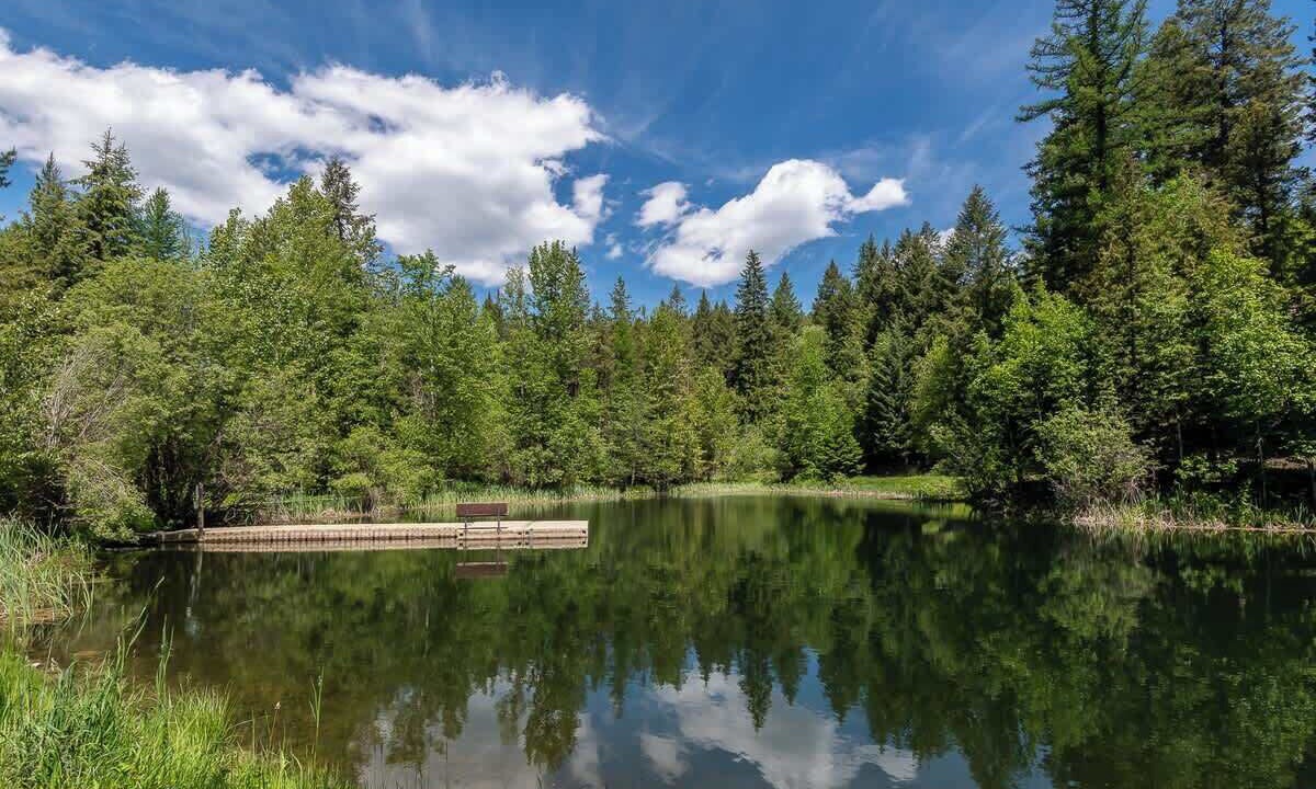 Photo of Others in Whitefish