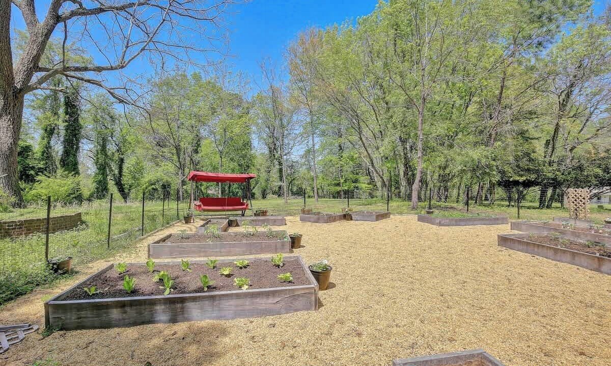 Photo of Outdoor in Lusby