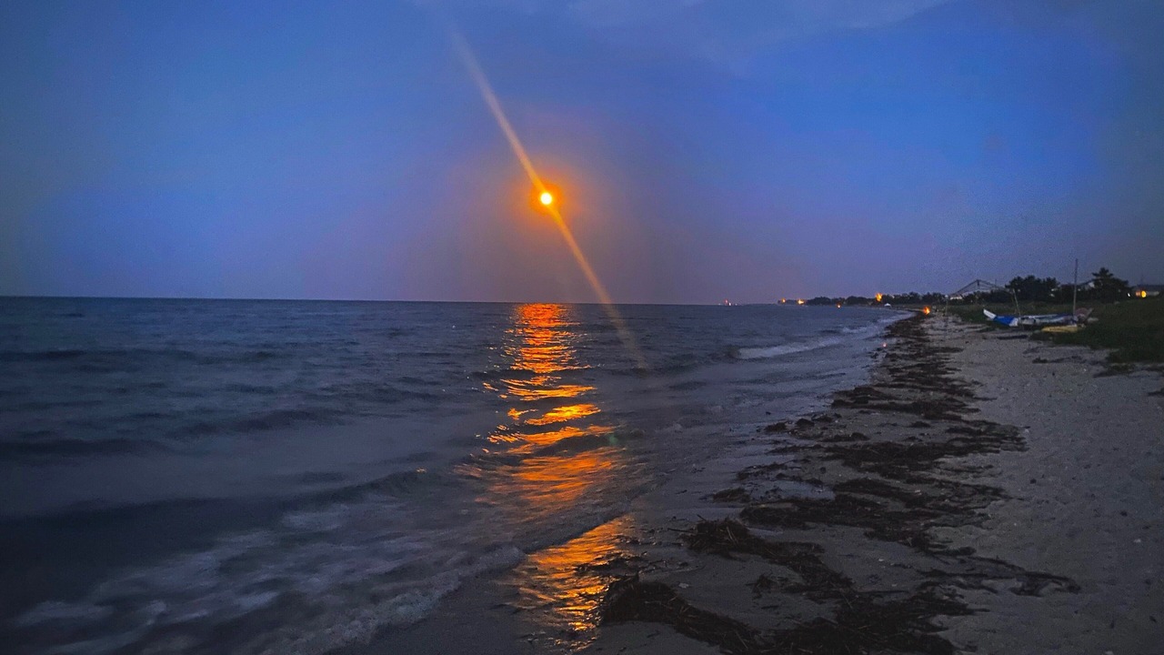 Photo of Others in Slaughter Beach