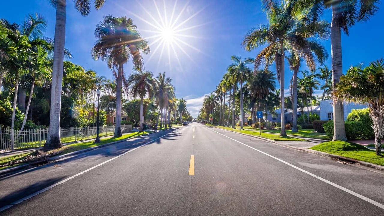 Photo of Outdoor in Hollywood Lakes