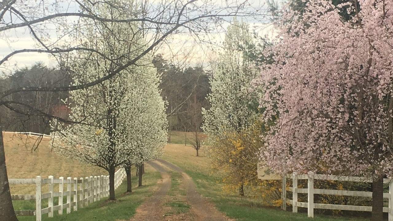 Photo of Outdoor in Reva