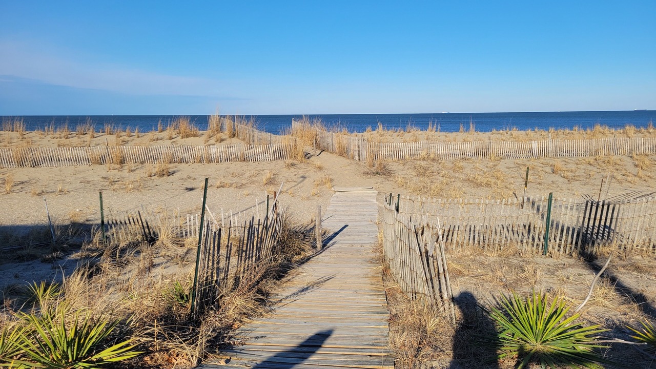 Photo of Others in Broadkill Beach