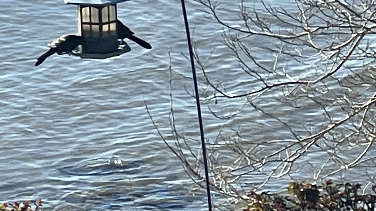 Photo of Outdoor in Rock Point