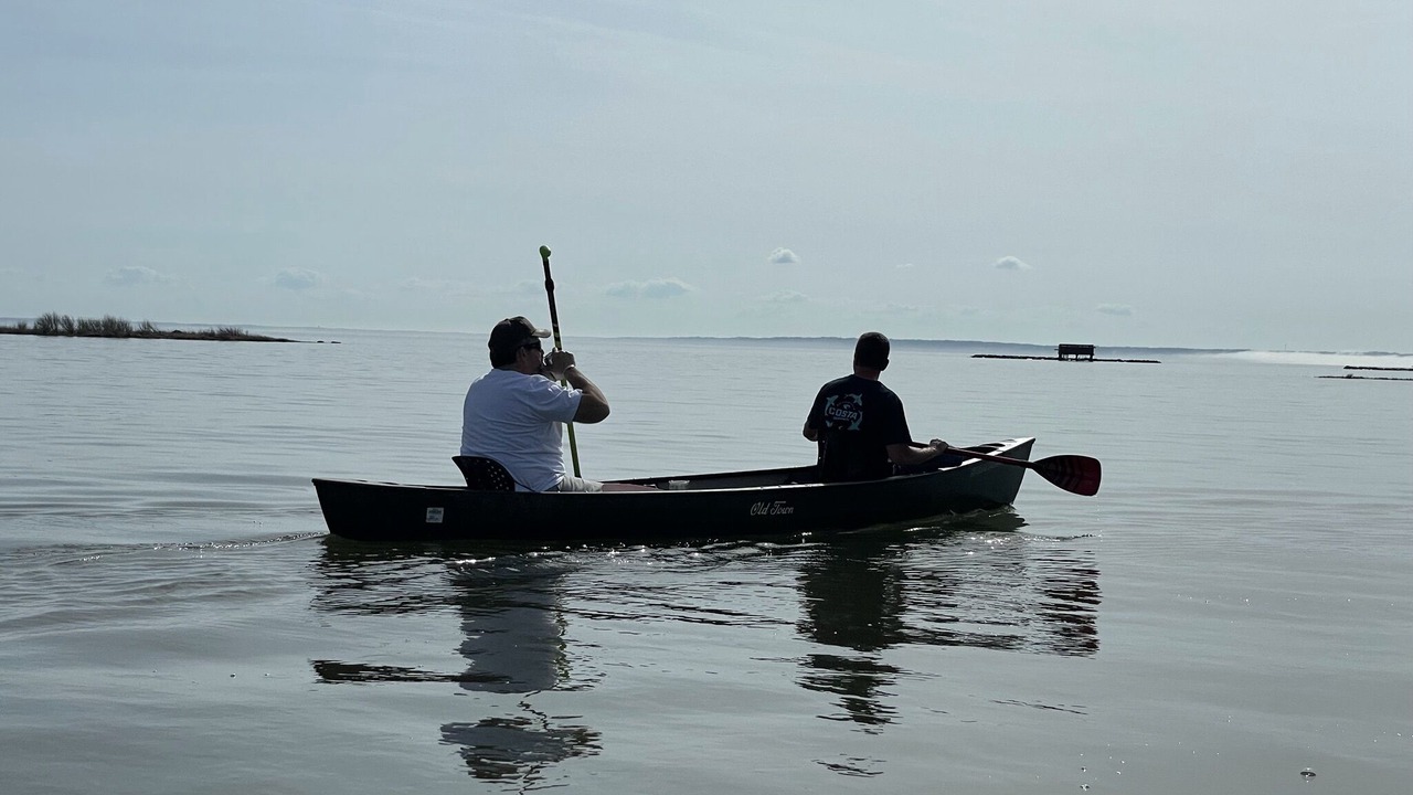 Photo of Others in Taylors Island