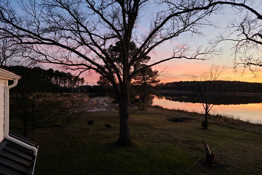 Photo of Others in Taylors Island